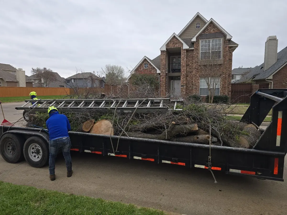 Expert Tree Fertilization with proper safety equipment in Arlington